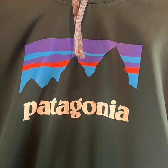 Patagonia Forest Green Hoodie with Logo - Picture 2 of 11
